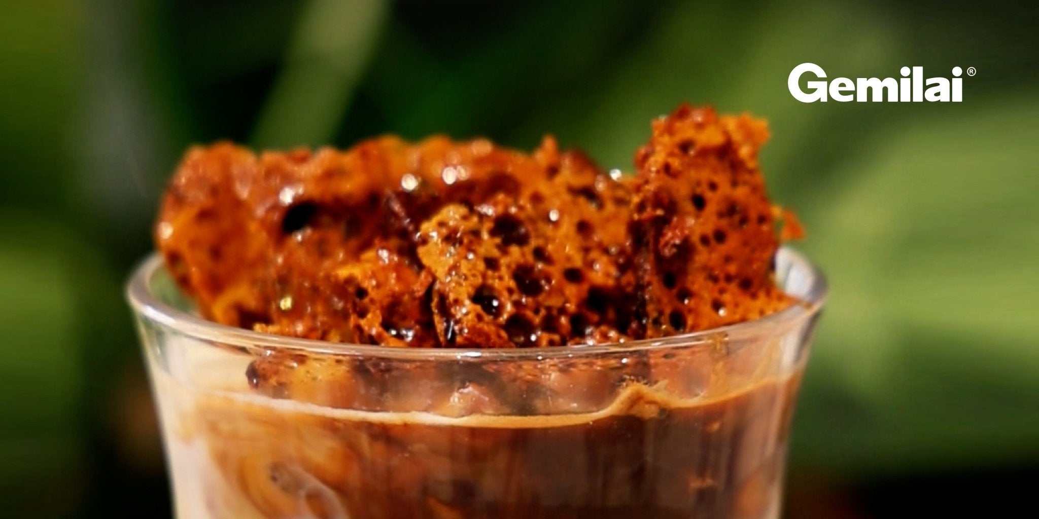 Caramel Latte: A Cool, Creamy Coffee with a Toasted Twist - Gemilai