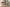 Promotion banner