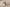 Promotion banner
