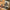 Promotion banner