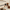 Promotion banner