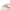 #color_Ivory White