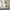 Molight G9010D Coffee Grinder | Upgraded - Gemilai